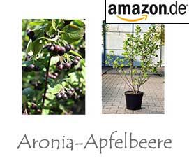 Aronia–Apfelbeere